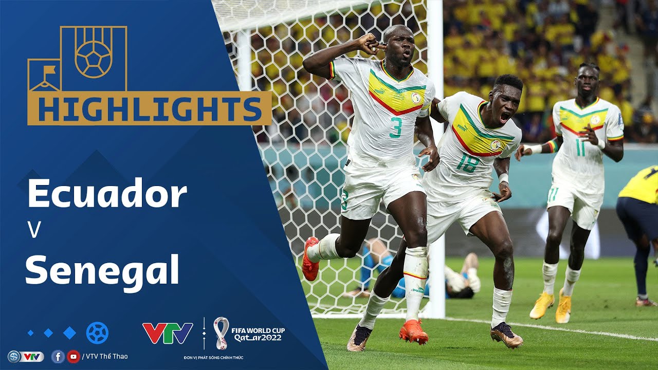 Ecuador vs Senegal, bảng A World Cup 2022